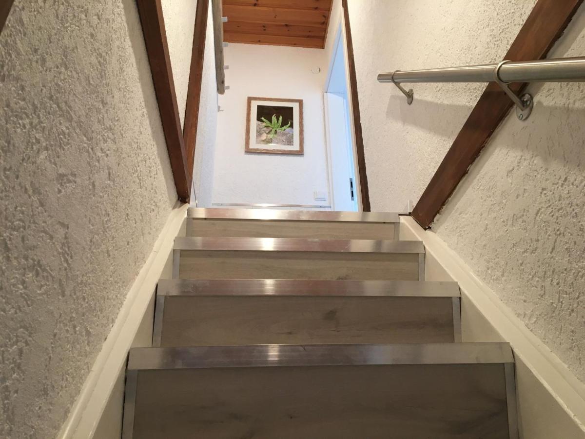 Ferienwohnung Dashaus Rheinfelden  Dış mekan fotoğraf