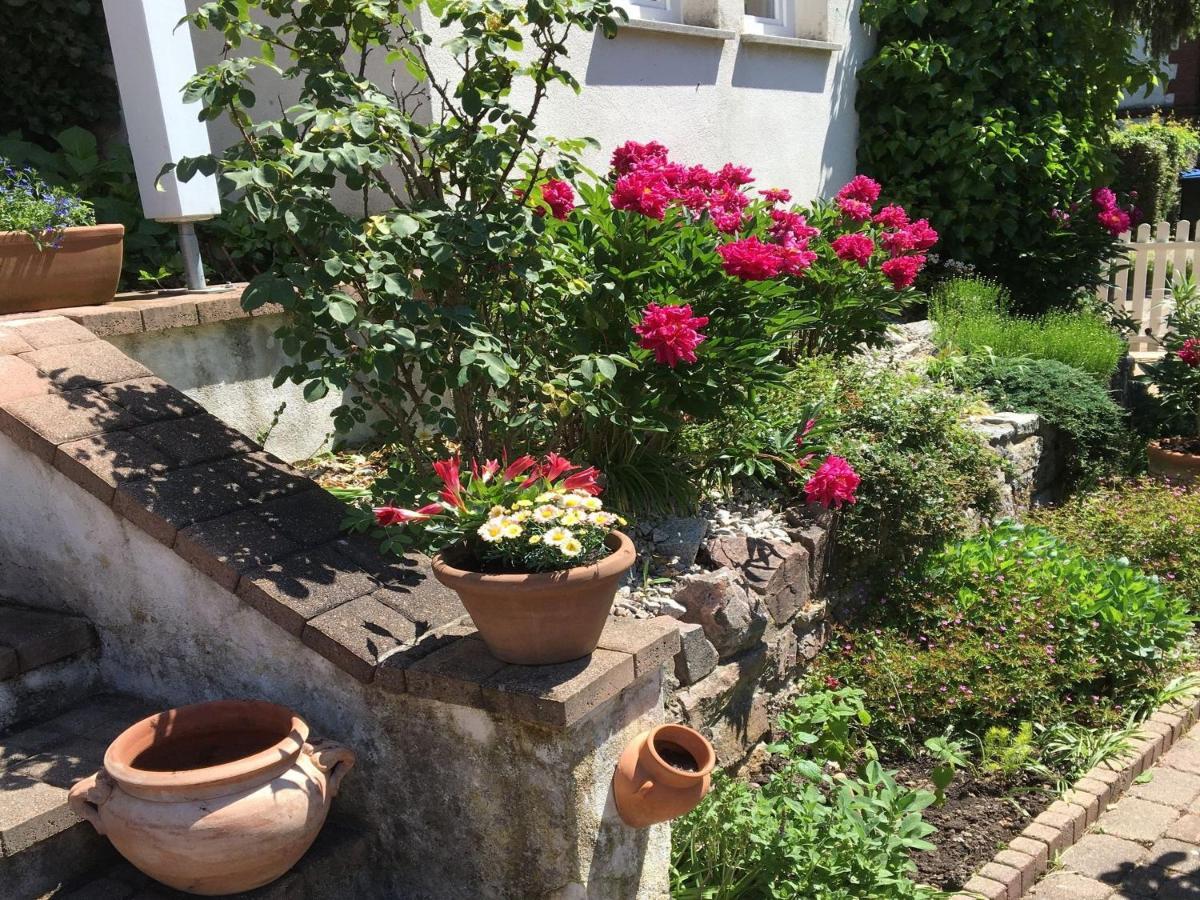 Ferienwohnung Dashaus Rheinfelden  Dış mekan fotoğraf